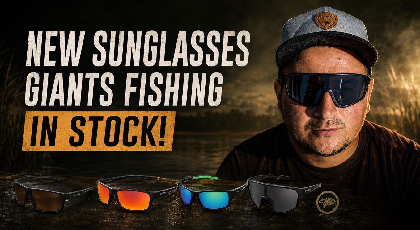Sunglasses New