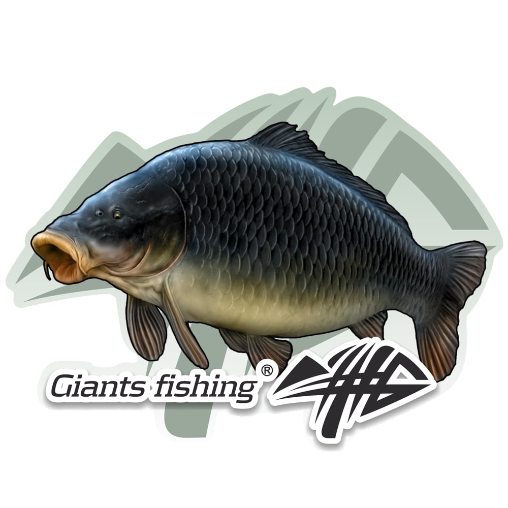 Kis matrica - Giants Fishing ponty