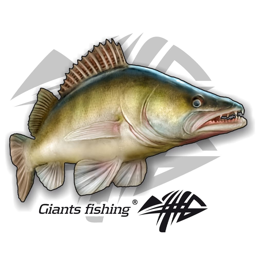  Large sticker - Giants Fishing Zander