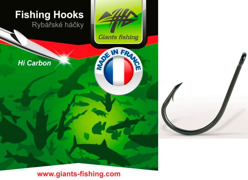 Hooks with ring Carp 10pcs/size 1