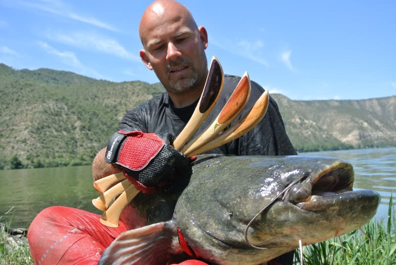 Vábnička Hell-Cat velká plochá II