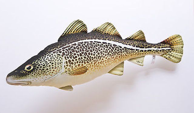 Gaby Polštářek Treska 75 cm