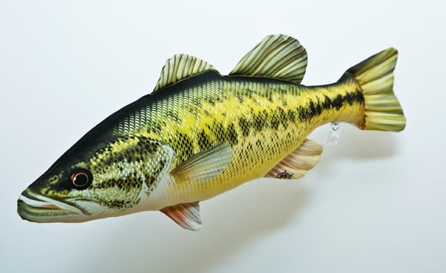 Gaby Polštářek Black Bass 67 cm