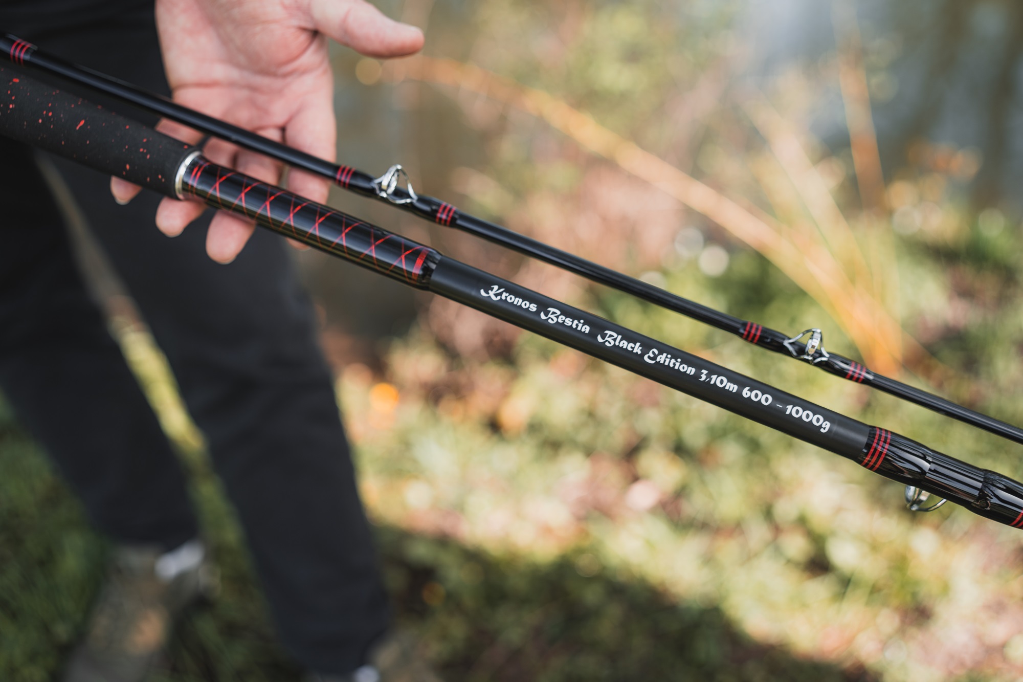 Hell-Cat Prut Kronoss Bestia Black Edition 3,1m 600-1000g