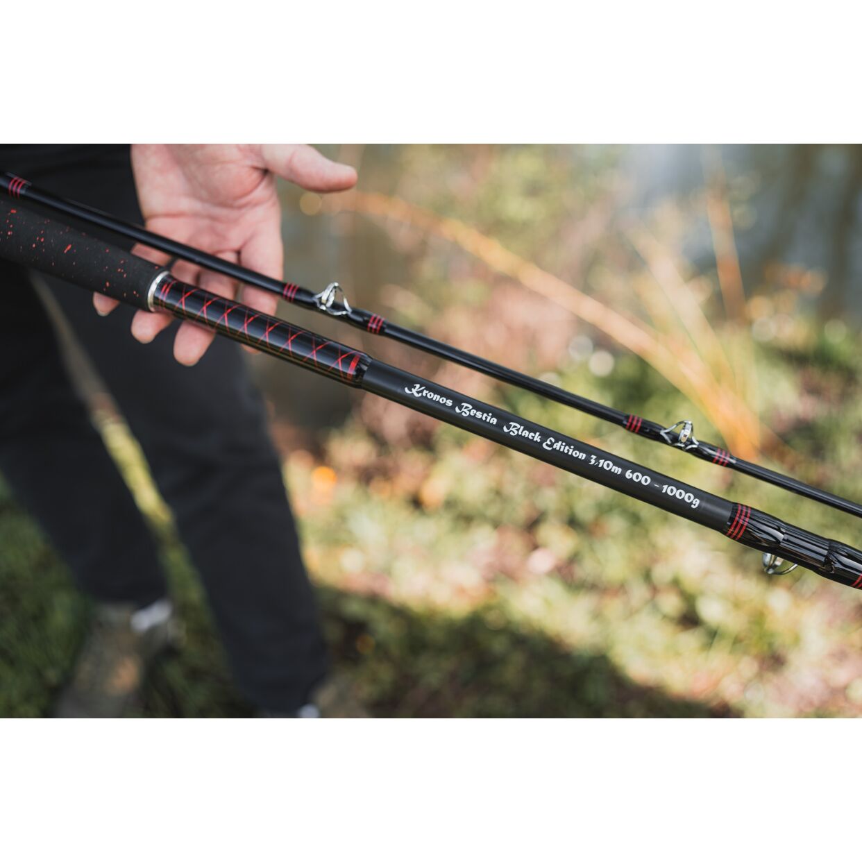 Hell-Cat Prut Kronoss Bestia Black Edition 3,1m 600-1000g